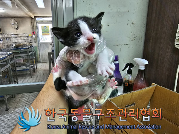 한국동물구조관리협회_411305202300205